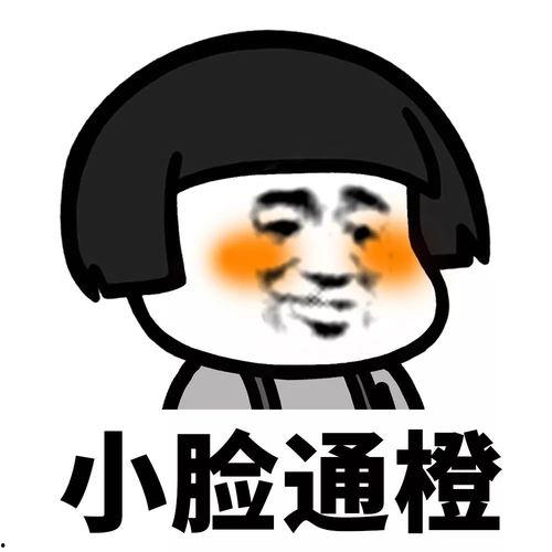 吃瓜吃一半 灵魂,探寻灵魂的诞生之谜