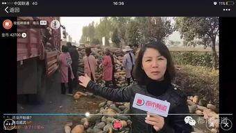 炮姐吃瓜群众视频,揭秘娱乐圈幕后真相