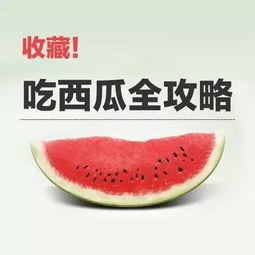 吃瓜的正确配合,解锁正确搭配，享受夏日清凉时光