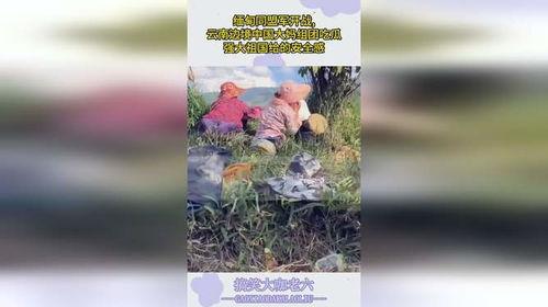 云南大妈吃瓜战争,一场关于瓜子的美食争夺战