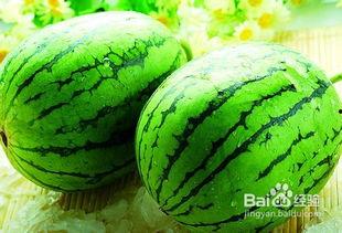 吃西瓜和哈密瓜